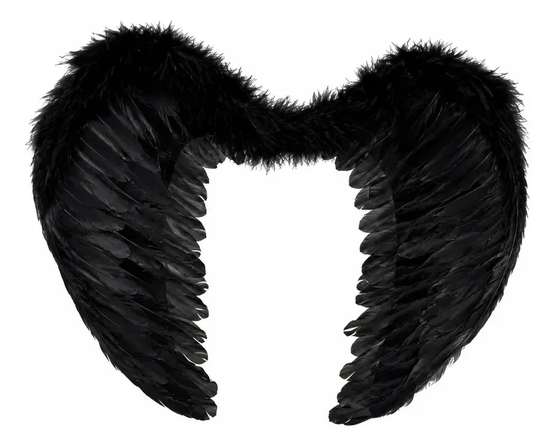 Alas de Ángel Negras con Plumas Disfraz Negro